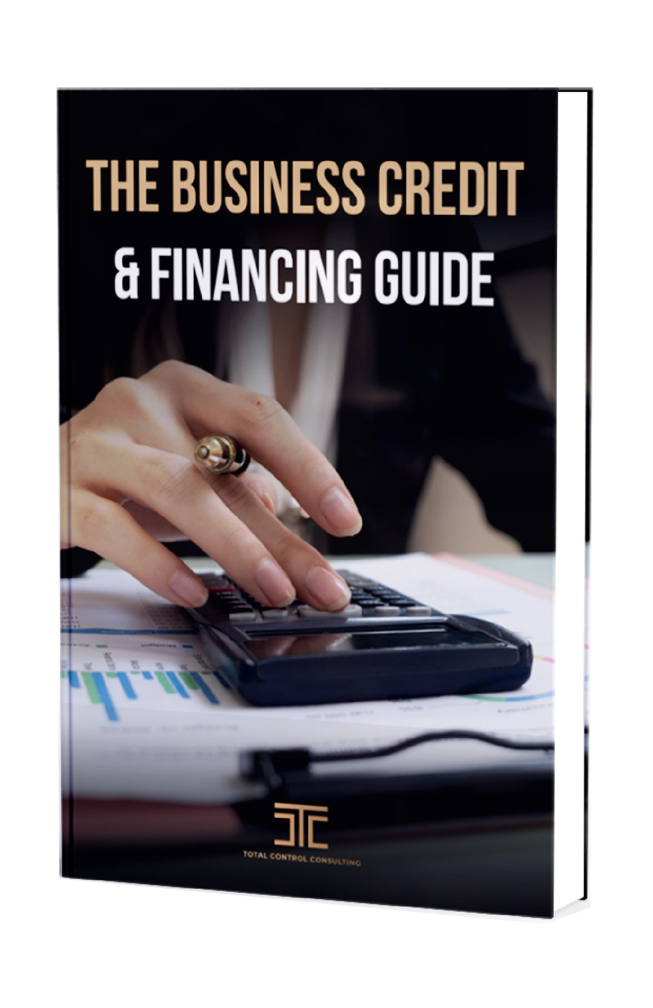 Business Credit and Financing Guide