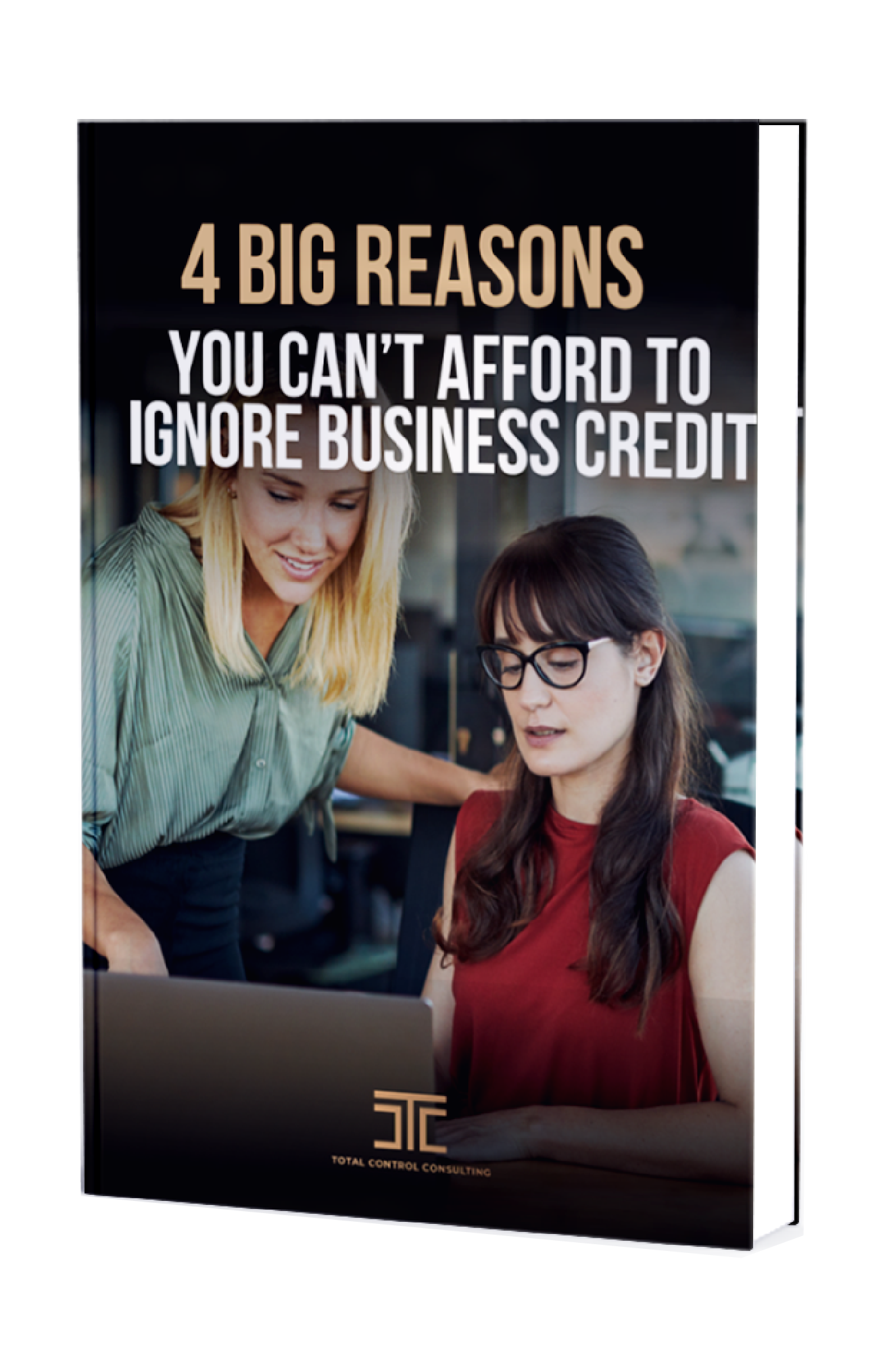 4 Big Reasons You can't Afford to Ignore Guide