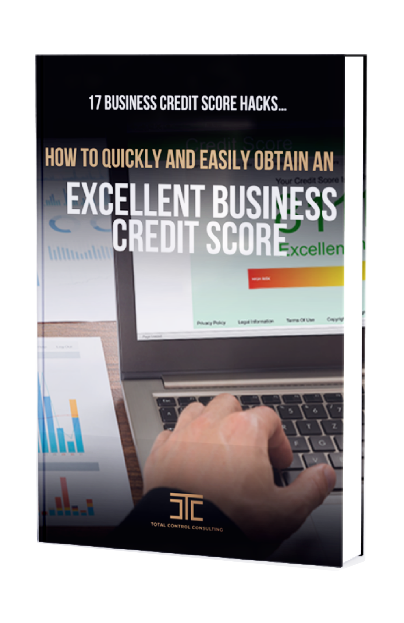 17 Business Credit Score Hacks Guide