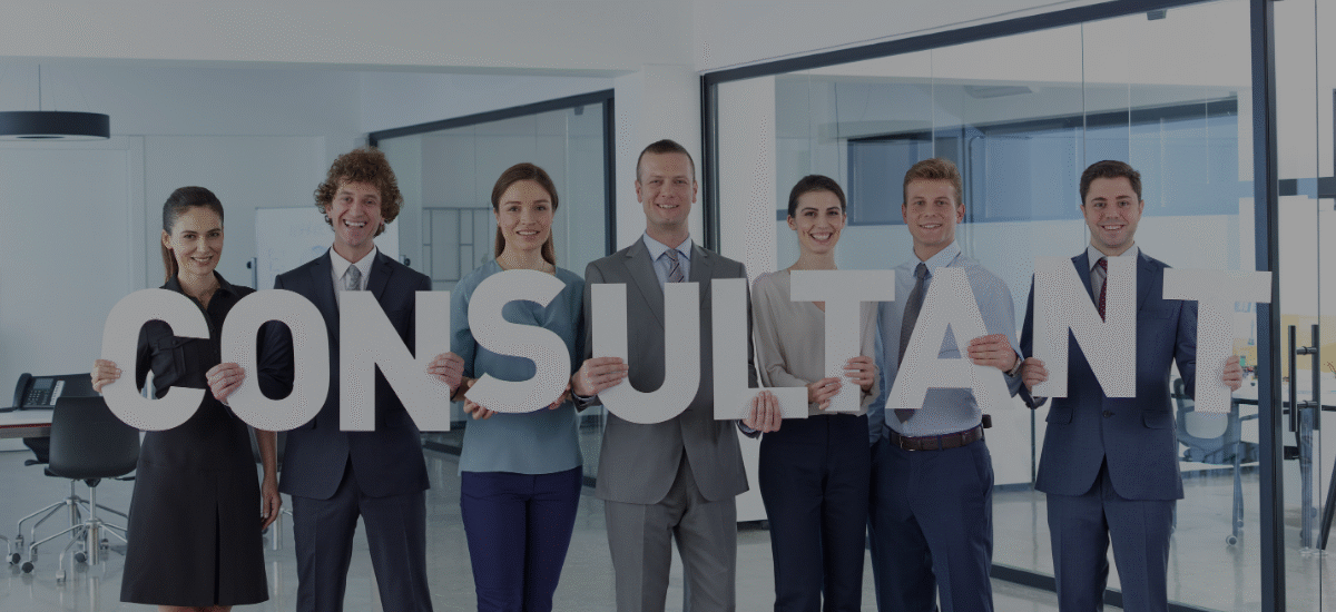 Business Growth Consultant
