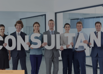 Business Growth Consultant