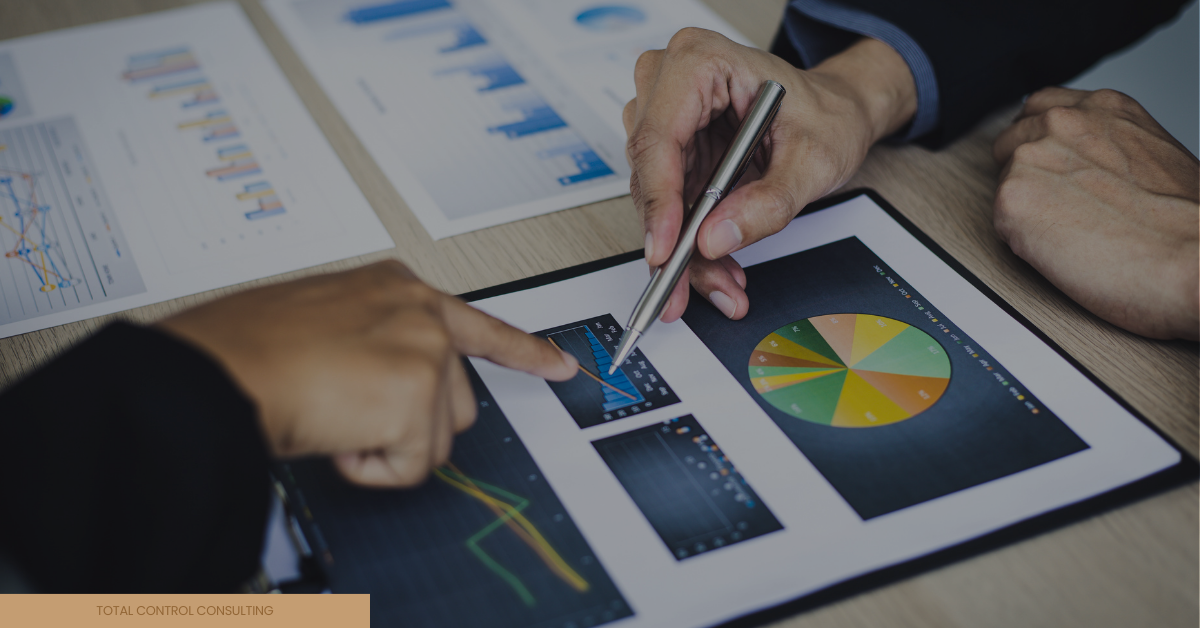 Stuck in Survival Mode? Business Consulting is the Key to Thriving