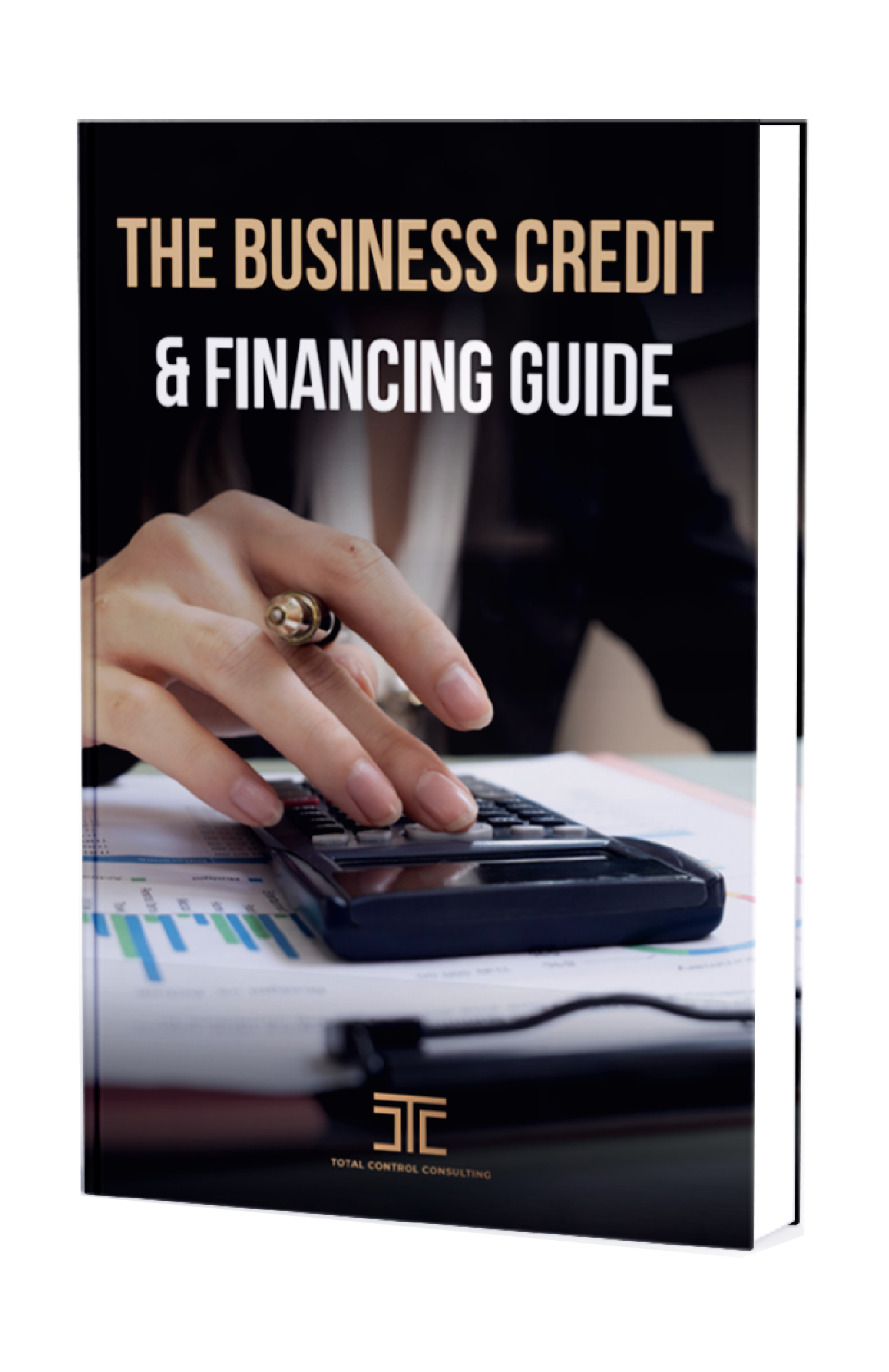 Business Credit and Financing Guide