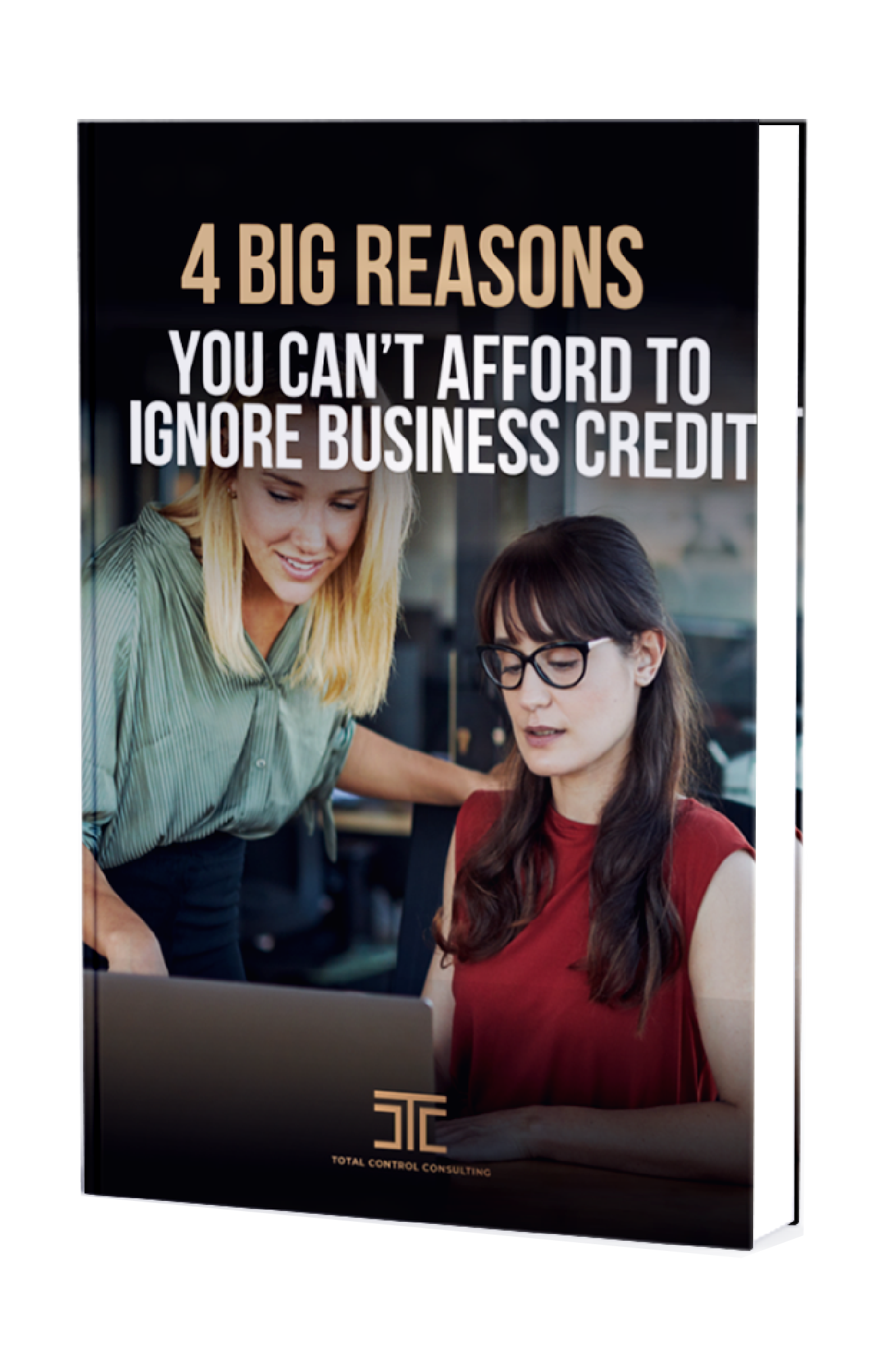 4 Big Reasons You can't Afford to Ignore Guide