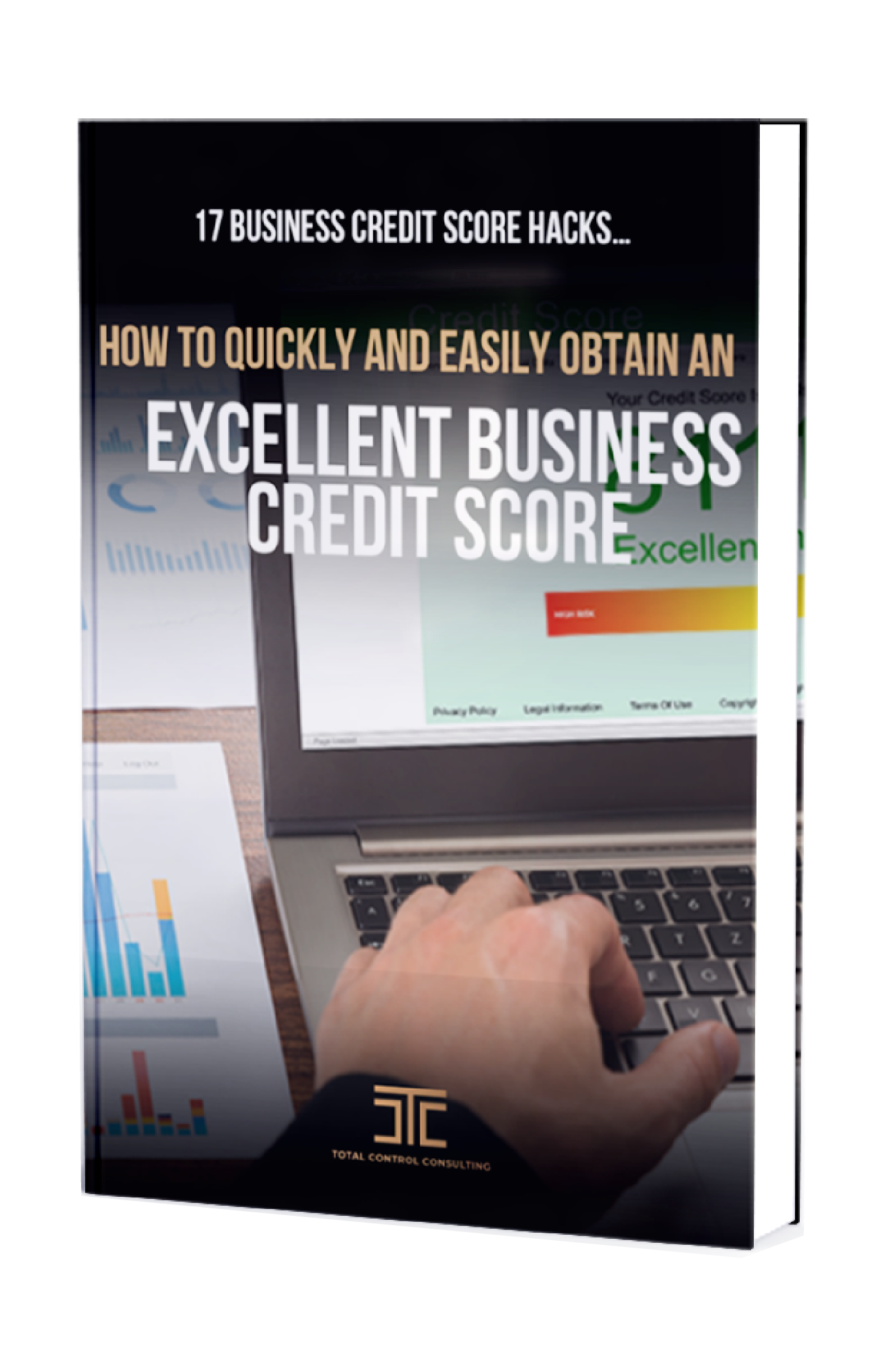 17 Business Credit Score Hacks Guide